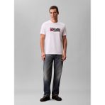 Calvin Klein Jeans Bisiklet Yaka Baskılı Beyaz Erkek T-Shirt LV04RD814GYAA SS 30s EU CK REDBOX G