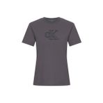 Calvin Klein Jeans Bisiklet Yaka Düz Gri Kadın T-Shirt J20J225256PMP