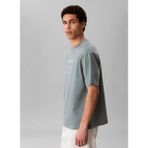 Calvin Klein Jeans Gri Erkek Standart Baskılı T-Shirt LV04RE827G5K3 Gri T-Shirt - M