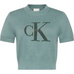 Calvin Klein Kadın Turkuaz Calvin Klein Chunky Cotton Graphıc Vest Kadın Turkuaz T-Shirt - M