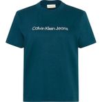 Calvin Klein Kadın Yeşil Calvin Klein A- Inst Logo Classıc Tee Ss Kadın Yeşil T-Shirt - M