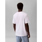 Calvin Klein LV04LF812GYAF 20S Eu Wholesale Sportswear Grap Erkek Tişört