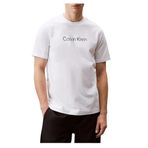 Calvin Klein LVGMS5K182UB1-PW - Siyah Yuvarlak Yaka Normal Düz Erkek T-Shirt