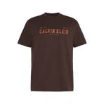 Calvin Klein SS 30S WHSL CALVIN COLL WORD GRA Erkek Kahverengi T-Shirt