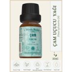 Çam Ağacı Uçucu Yağı %100 Doğal veSaf - 10 ml