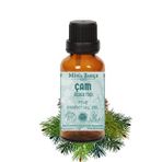 Çam Ağacı Uçucu Yağı, %100 Saf, 10 ML