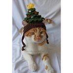 Çam Ağacı Yeni Yıl Kedi Köpek Şapkası Yılbaşı Noel Örgü Bere Pet Aksesuarları