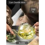 Cam Demlik Şeffaf Süzgeçli Demlik Isıya Dayanıklı Bitki Çayı Demliği Borosilat 250 ml Çap 5.5