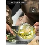 Cam Demlik Şeffaf Süzgeçli Demlik Isıya Dayanıklı Bitki Çayı Demliği Borosilat 250 ml