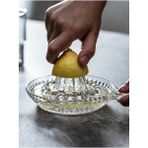 Cam Limon Sıkacağı - Çok Renkli