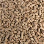 Çam Pelet Kedi Kumu %100 Doğal Selülöz Peleti Kedi Altlığı 1 Kg