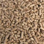 Çam Pelet Kedi Kumu %100 Doğal Selülöz Peleti Kedi Altlığı 5 Kg