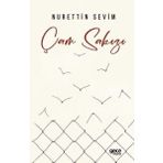Çam Sakızı Gece Kitaplığı