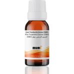Çam Terebentin Mum Esansı 25801 10 ml - 1 Adet