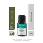 Çam Terebentin Yağı 10 ml