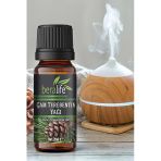 Çam Terebentin Yağı - 20 ml Çam Terebentin Yağı