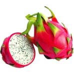 Çam Tohumculuk Bodur Saksılık Pitaya Meyvesi Tohumu 10 Adet Tohum Pithaya Fruit