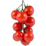 Çam Tohumculuk Erkenci Beşdeli Salkım Domates Tohumu 10 Adet Tohum