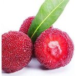 Çam Tohumculuk Tropikal Çin Çileği Tohumu 2 Adet Tohum Myrica Çilek