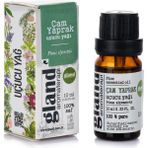 Çam Yaprak(Pinus Sylvestris) Uçucu Yağı 10ml
