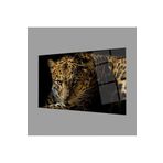 Camdan Tablo (117) Leopar Hayvan 4mm Dayanıklı Cam Tablo Temperli Cam, Leopard Glass Wall Decor Görsel 90 x 60