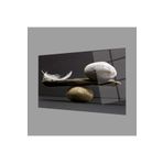Camdan Tablo (789) Denge Cam Tablo Tüy ve Taşlar Görsel 36 x 24