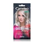 Cameleo 10.1 Silver Blond Tek Kullanmlık Saç Renklendirici Şampuan