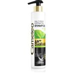 Cameleo BB 01 Damaged Hair Keratin 250 ml Şampuan