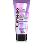 Cameleo BB 05 Silver 200 ml Saç Kremi