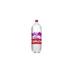 Çamlıca 2.5 lt Frambuaz Aromalı Gazoz