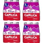 Çamlıca Frambuaz Aromalı Gazoz 200 Ml X 24 Adet