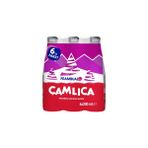 Çamlıca Frambuaz Aromalı Gazoz Cam Şişe 6x200 ml