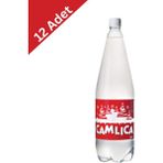 Çamlıca Sade Gazoz 1 Litre x 12 Adet