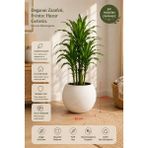 Can Botanik Yuvarlak Küre Saksı 20CM Plastik Içliksiz Modern Saksı - 20 CM - 1 Adet