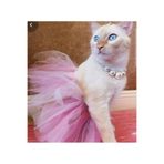 CAN BUTİK Canbutik Kedi Tütü Etek