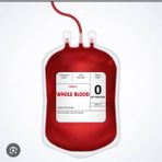 Can Medikal Flebotomi Kan Alma Torbası 450 ml 10 Adet