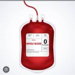 Can Medikal Flebotomi Kan Alma Torbası 450 ml 5 Adet