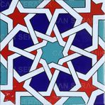 Can Seramik Cç88 Kütahya Çini 5'li 20x20 cm Karo