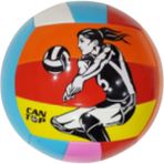 Can Top Dikişli Voleybol Topu No 5 (260-280 g) Dayanıklı Tasarım ile Yüksek Performans