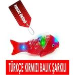 Can Toys Müzikli Işıklı Yürüyen 23 cm Pilli Oyuncak Balık