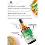 Canarino Gommy Çay Ağacı YAĞI%100 Doğal Bitkisel Uçucu Yağ Çay Ağacı Oil 10ML - 001-Renkli - 100 x 100 cm