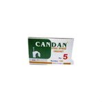 CANDAN NO-5 ÇİVİLİ KROŞE 11mm 1 PAKET 100 ADET