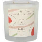Candle And Friends No.2 Red Iris Medium Cam Mum 240GR. - Beyaz - 1 Adet