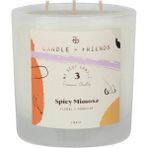 Candle And Friends No.3 Spicy Mimosa Large Cam Mum 320GR. - Beyaz - 1 Adet