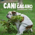 Cani Che Cagano Calendario 2025: Regalo per gli amanti dei cani durante le festività e le occasioni speciali (12 immagini divertenti con citazioni divertenti)