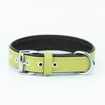 Canini Collar Hakiki Flotter Deri Köpek Tasması, Çift Katlı Deri, Ultra Dayanıklı Tasma (Kahverengi-Yeşil, S)