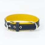 Canini Collar Hakiki Flotter Deri Köpek Tasması, Çift Katlı Deri, Ultra Dayanıklı Tasma (Sarı-Lacivert, L)