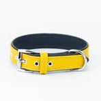 Canini Collar Hakiki Flotter Deri Köpek Tasması, Çift Katlı Deri, Ultra Dayanıklı Tasma (Sarı-Lacivert, XL)