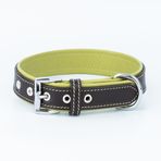 Canini Collar Hakiki Flotter Deri Köpek Tasması, Çift Katlı Deri, Ultra Dayanıklı Tasma (Yeşil-Kahverengi, XS)