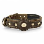 Canini Collar Hakiki Klasik Deri Airtag Uyumlu Köpek Tasması – Dayanıklı, Konforlu ve Şık Tasarım, Airtag Bölmeli Gerçek Deriden Köpekler İçin Tasma (Kahverengi, S)